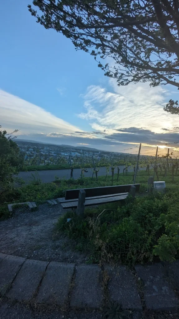 Heilbronn Wartberg Chair