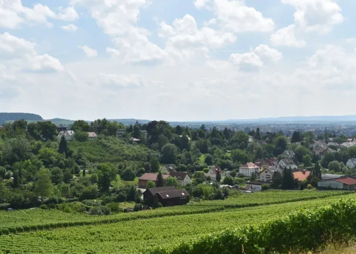 Heilbronn Landscape 2