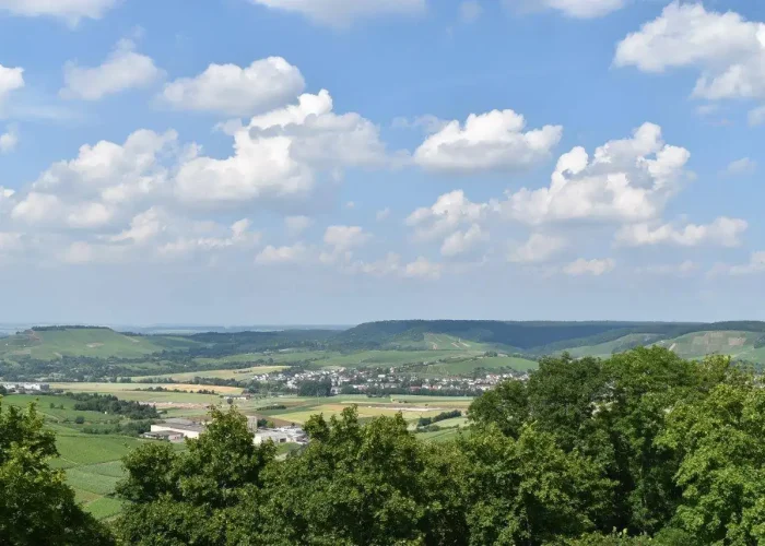 Heilbronn Landscape